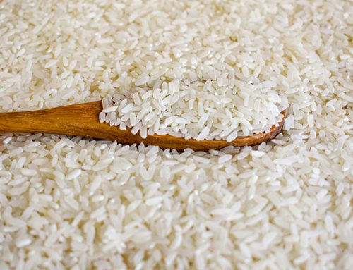 Double Carolina Rice: Children’s Rice Pudding